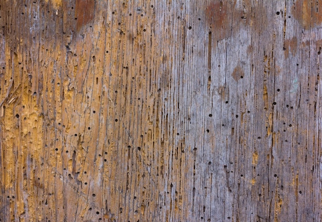 Wooden background