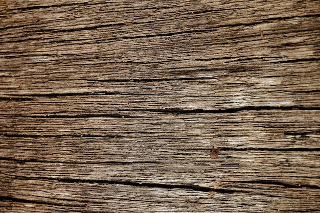 Wooden Bark Texture Background