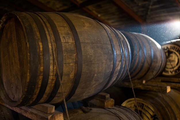 Wooden barrels at beer factory