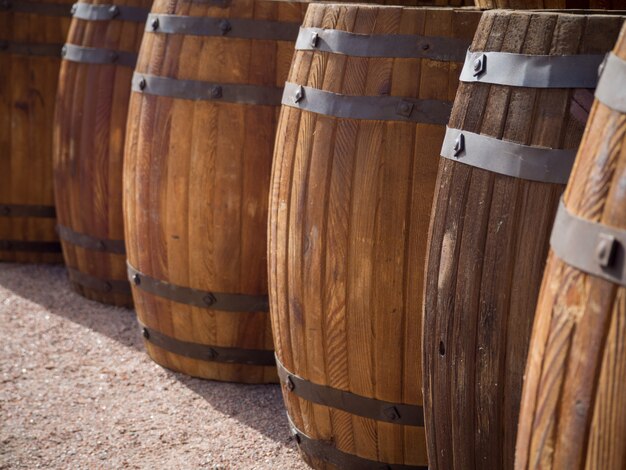 Wooden barrels with herring stand in a row in the port.