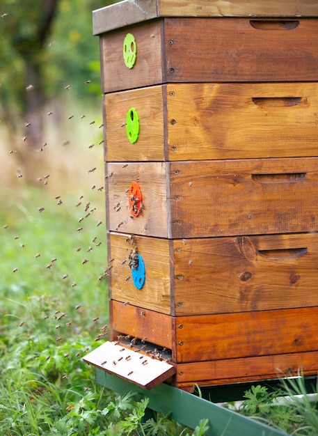 Wooden bee hive for production of a natural honey beekeeping or apiculture concept