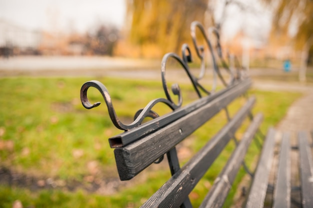 Wooden bench in autumn park. Autumn outdoor relax.