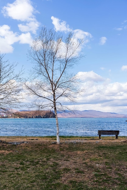 Wooden bench on the beach and sea with blue sky trees beautiful seascape