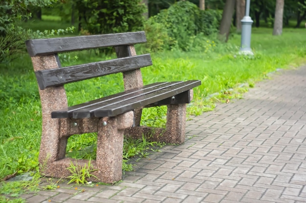 都市公園の木製ベンチ 木々のある公園の庭のベンチ