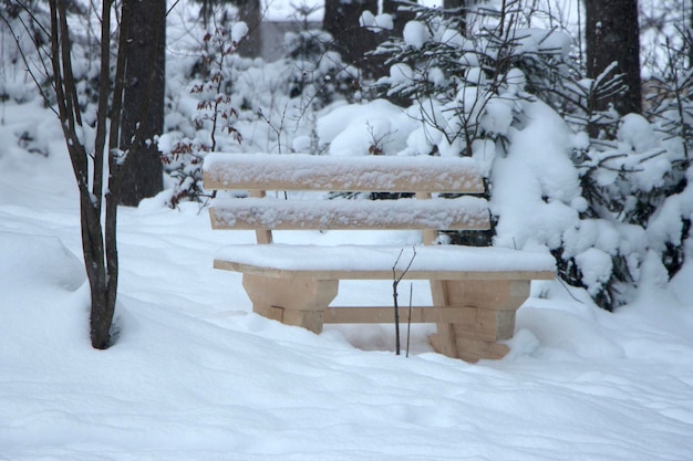 公園で雪に覆われた木製のベンチ森の中の冬の雪の日