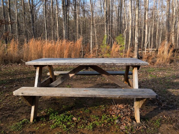 Photo wooden bench in forest