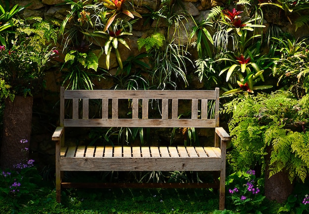 Wooden bench in the garden on a sunny day with tree background