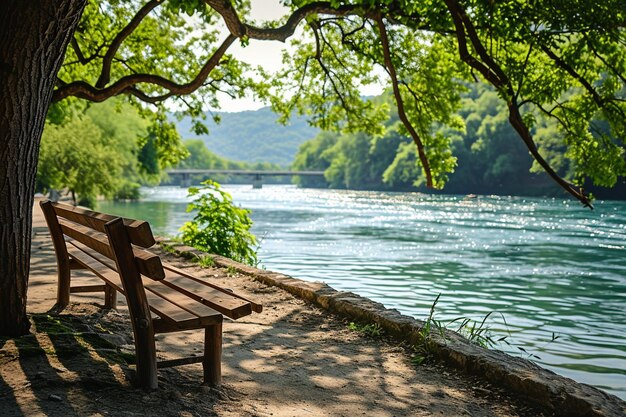 Foto panchina di legno vicino al fiume nel parco estivo