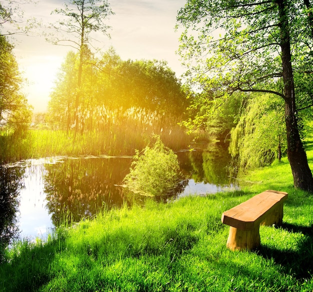 Wooden bench near river in the summer park