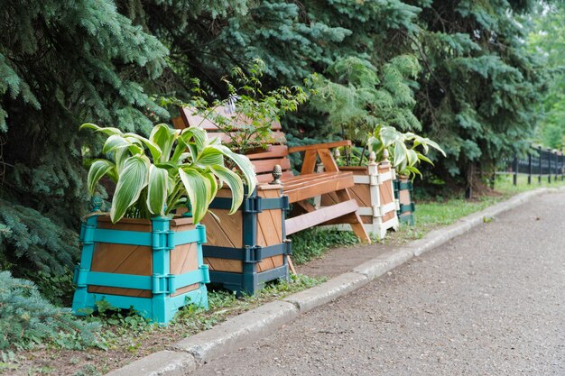 Деревянная скамейка в парке у аллеи