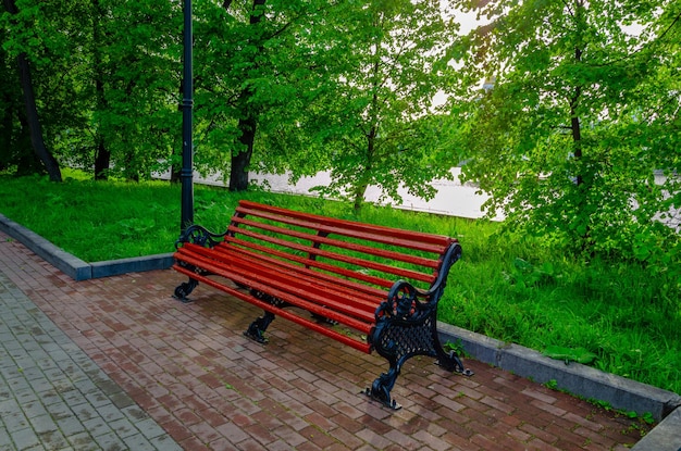 wooden bench in the park in spring.