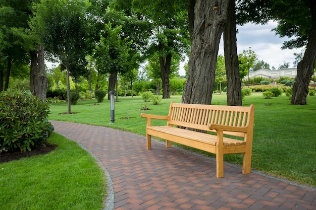 Wooden bench on path at beautiful park