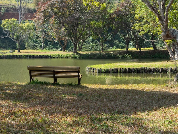 公園の池の横でリラックスするための木製のベンチ