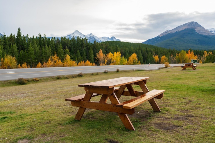 Фотография деревянная скамейка на парковке saskatchewan river crossing на пересечении icefields parkway