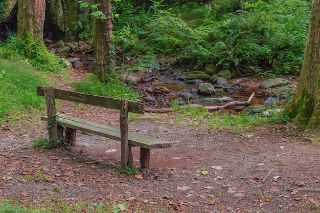 A wooden bench sits on a trail in the woods.