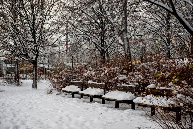 Foto panchina di legno sotto la neve nel parco