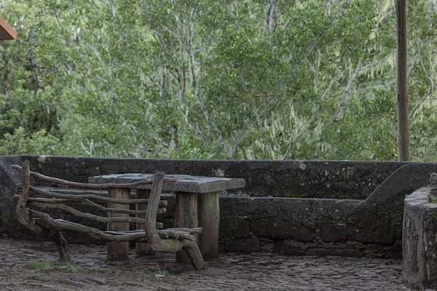 Wooden bench and a stone table in a park surrounded by trees and lush foliage