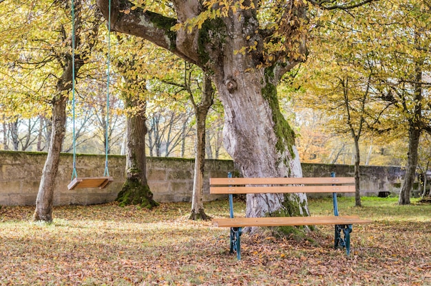 Wooden bench and swing in the autumn garden