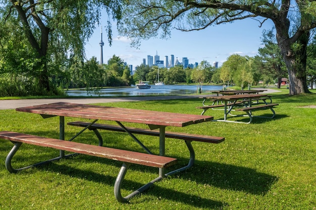 Деревянная скамейка в парке островов Торонто Торонто, Онтарио, Канада