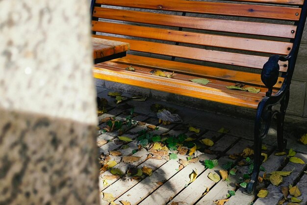 땅에 잎이 있고 배경에 나무가 있는 나무 벤치.