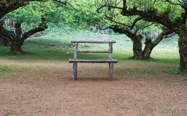 Wooden bench