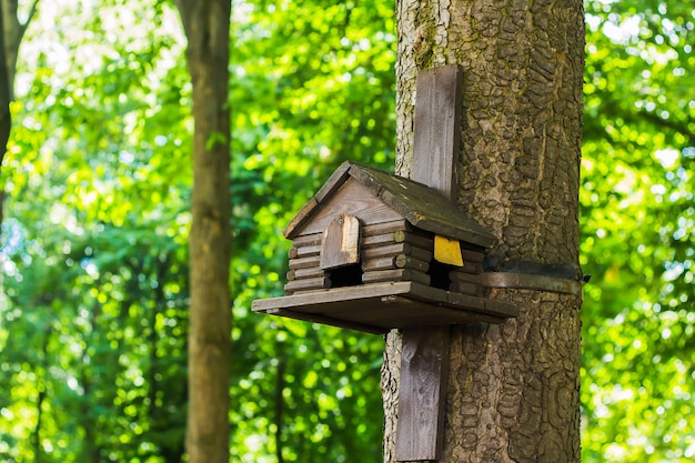 Wooden bird feeder on a background of green trees