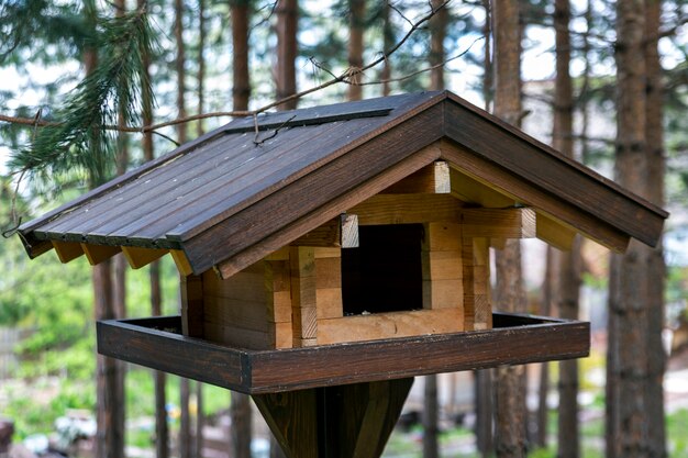 Wooden bird feeder in the summer forest. Caring for the environment.