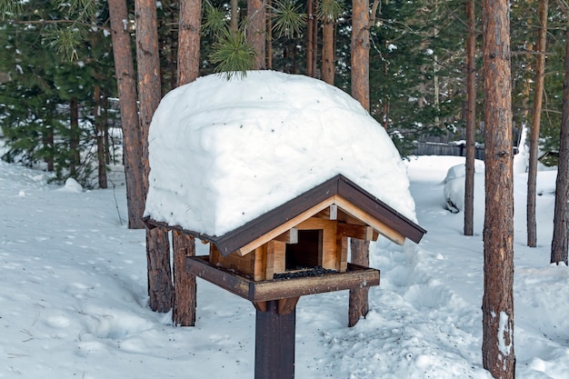 Wooden bird feeder in the winter forest. Caring for the environment.