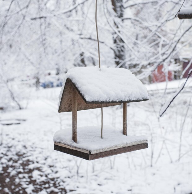 Wooden bird table topped with snow