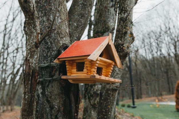 木の上の木製の鳥小屋鳥小屋。動物の世話をします。子供と一緒に工芸品。