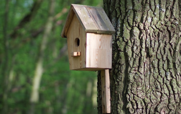 A wooden birdhouse for birds hangs on a tree Birdhouse closeup with mockup