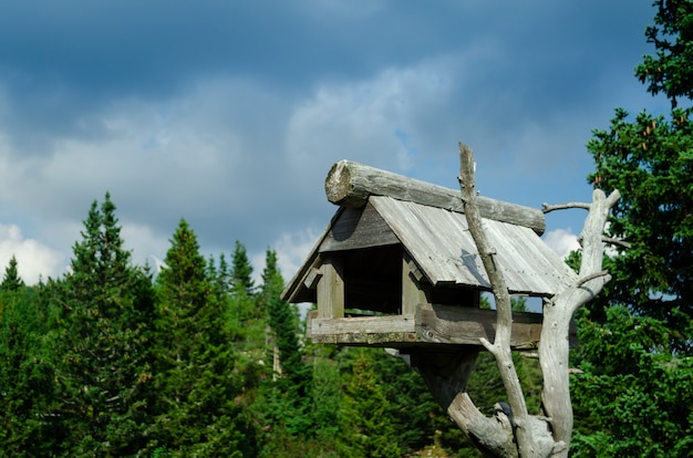 Birdhouse di legno costruito da un vecchio ramo di albero.