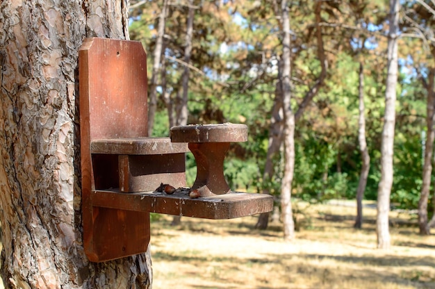 Wooden birdhouse or feeder  attached to the tree in a park.