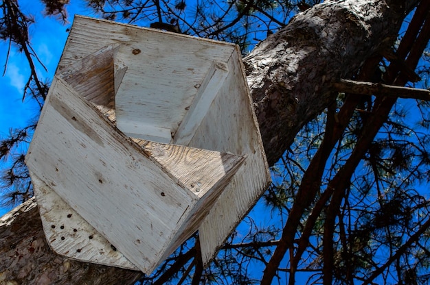 Wooden birdhouse or feeder  attached to the tree in a park.