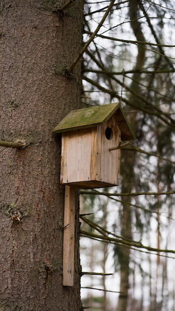 Casetta per uccelli in legno su un albero