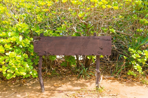 Wooden blank board in green leaves