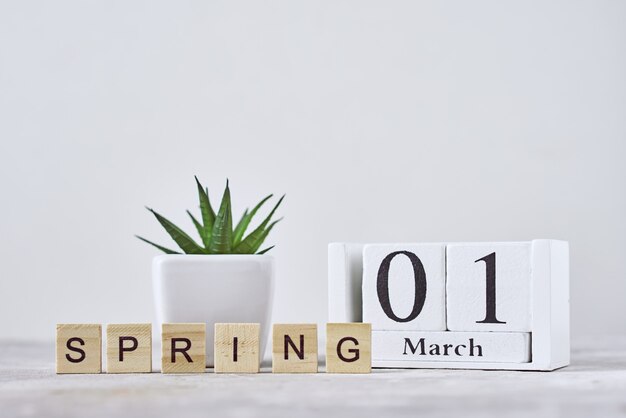 Wooden block calendar with date and plant on table.