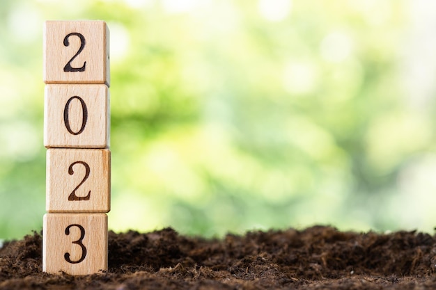 Wooden blocks lie on a wooden table against the backdrop of a summer garden and create the word 2023