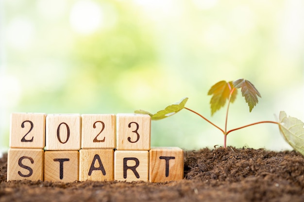 Photo wooden blocks lie on a wooden table against the backdrop of a summer garden and create the word 2023