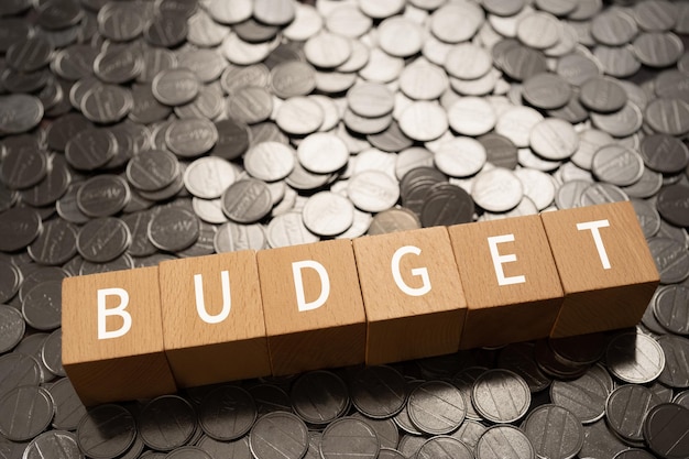 Wooden blocks with BUDGET text of concept and coins.