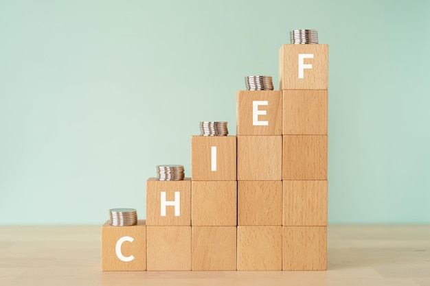 Wooden blocks with CHIEF text of concept and coins.