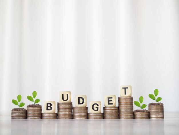 Photo wooden blocks with the word budget and plants growing up on stack of coins the concept about budget planning and allocation