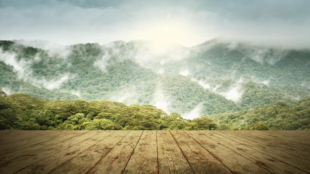 Wooden board empty table in front of blurred background. Perspective brown wood over blur trees in f