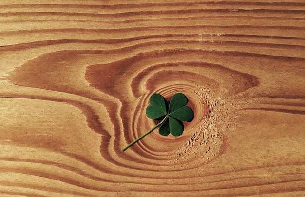 A wooden board with four leaf clover on it