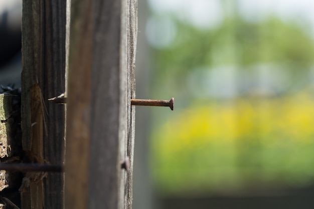 Photo wooden board with a rusty nail