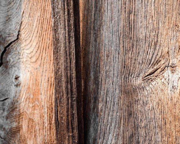 Wooden board Wooden board of graybrown natural color Wood texture