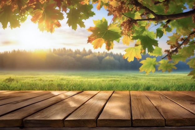 Photo wooden boards of empty table with a green meadow and forest on the background