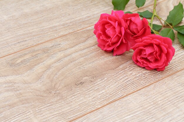 Wooden boards with beautiful roses on the background. Concept of giving a gift on holidays. Top view.