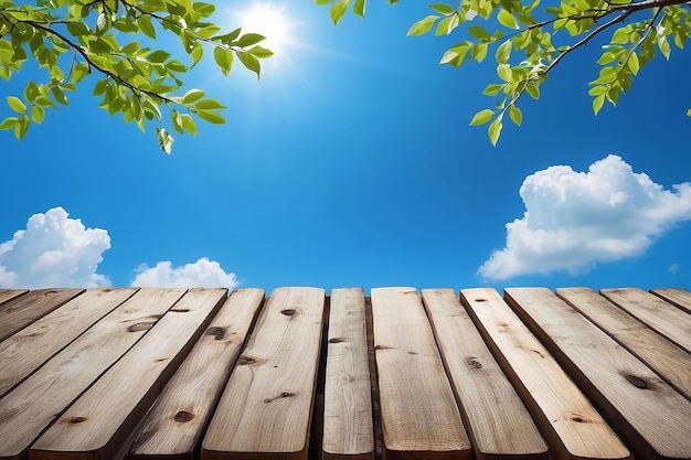 Wooden boards with blue sky and branches
