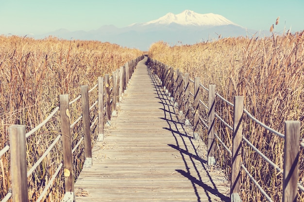 Wooden boardwalk in mountains lake